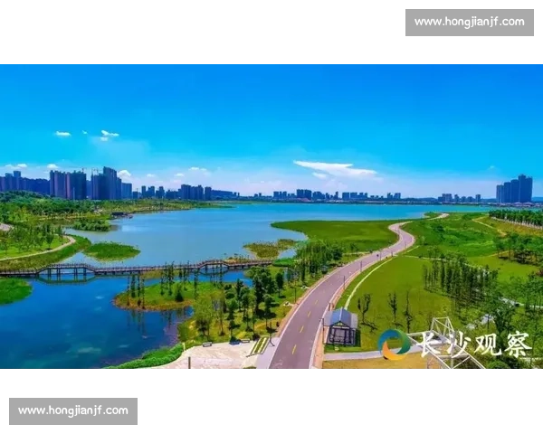 城市发展新格局下VS长沙县综合实力全面对比观察与区域未来走向研究