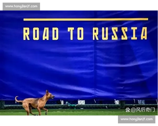 国足vs科威特直播焦点战全程直击备战状态与阵容看点解析